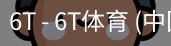 6T体育
